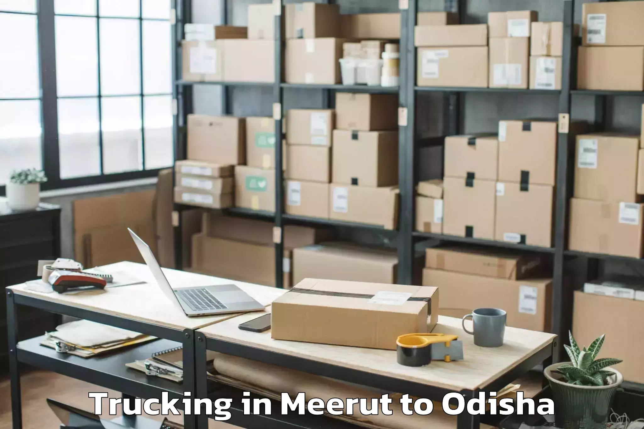 Easy Meerut to Jagatsinghapur Trucking Booking